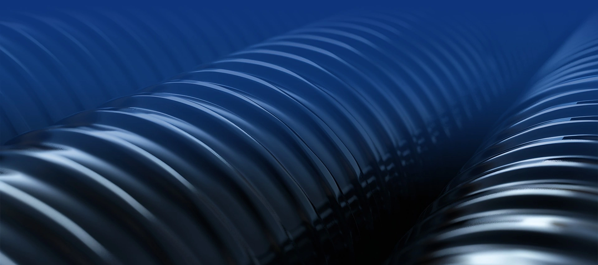 Loyalty and Service First To Satisfy Customers